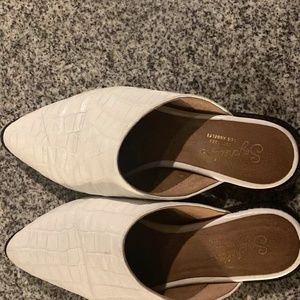 UO Seychelles impersonate fl